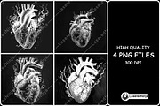Anatomical Human Heart Flames Smoke, a Background Graphic by LaseredNinja (Thumbnail 1 of 7)