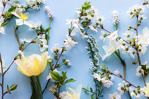 Happy Easter! Daffodil, tulip, cherry blossom flat lay on blue b, a Holiday Photo by Sonjachni
