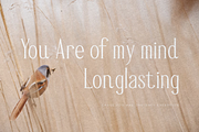 Mendalion A New Modern Serif Font, a Serif Font by Storytype Studio (Thumbnail 2 of 15)