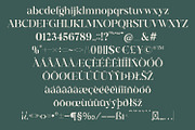 Kamundi | Modern Branding Typeface, a Serif Font by MchCrafter (Thumbnail 12 of 13)