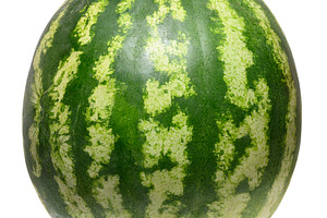 Whole ripe watermelon with dark green stripes, isolated backgrou, a Food & Drink Photo by ndanko
