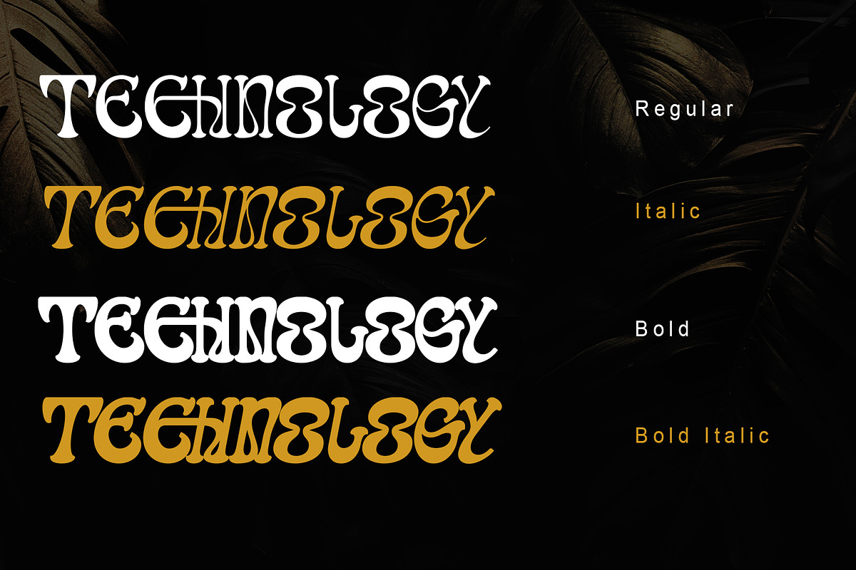 Ranvel, a Serif Font by Letterara (Photo 7 of 11)