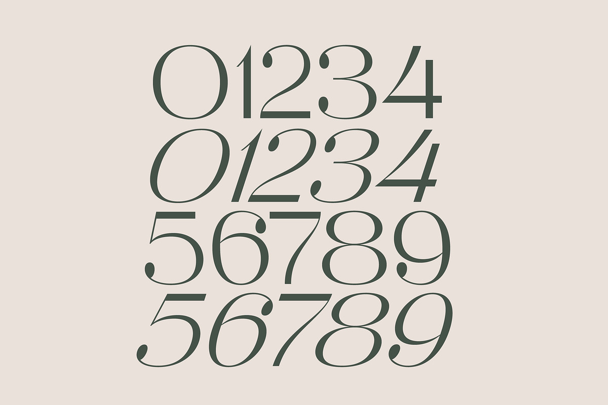 Raslera Modern Serif Display, a Sans Serif Font by timelesstype.co (Photo 14 of 20)