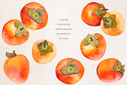 Fruit & Vegetable Watercolor Bundle, a Decorative Illustration by Olga Begak Art & Design (Thumbnail 6 of 13)