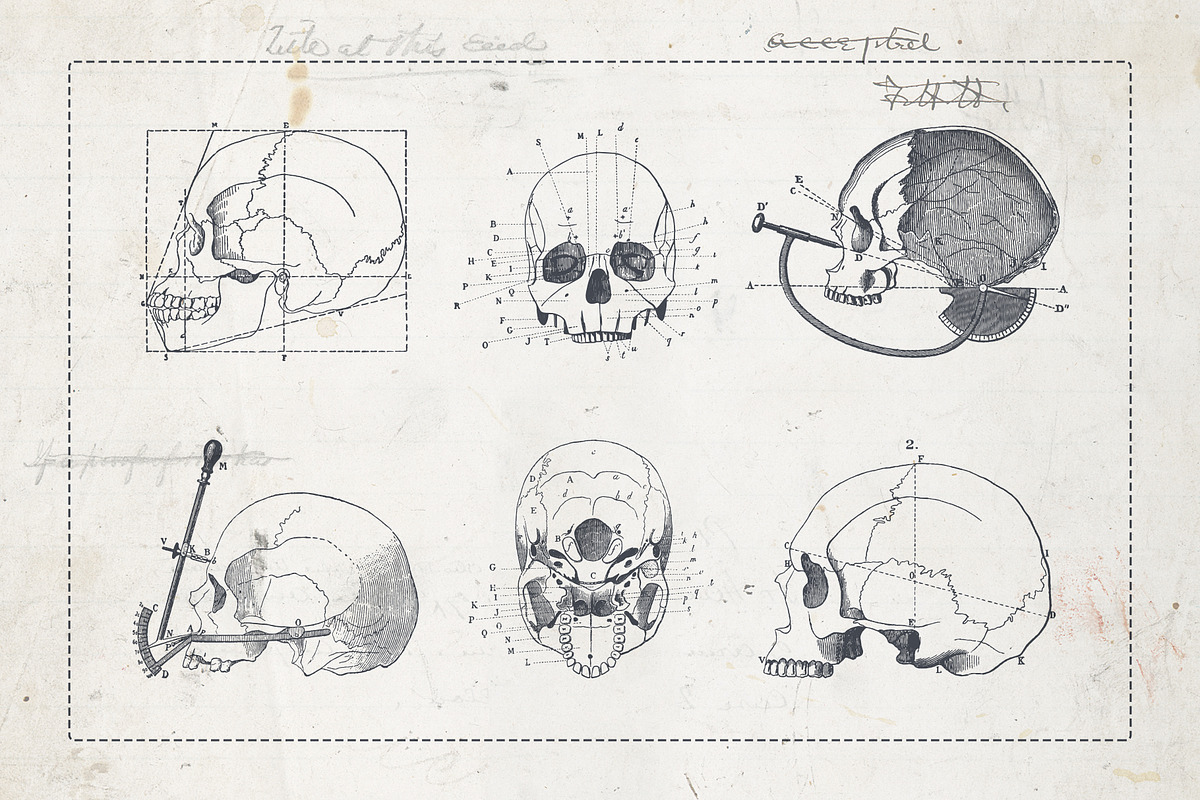 Craniometry, an Object Graphic by Sick Optix (Photo 3 of 8)