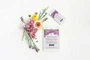 3 Spring Email Templates Pack, an Email Template by Khryna Designs (Thumbnail 4 of 4)