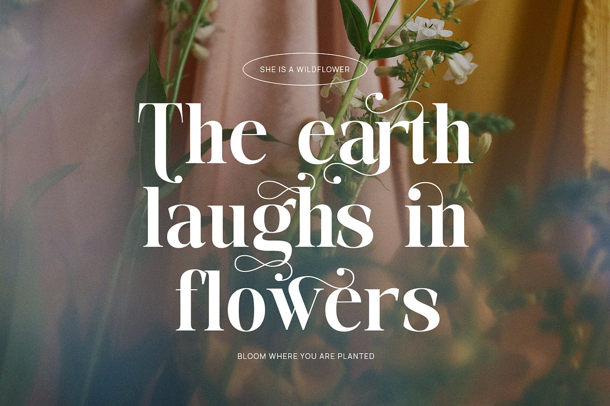 Sagista - Elegant Serif Font, a Serif Font by TypeLogue (Photo 3 of 5)