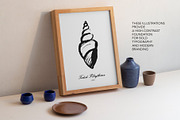 Summer Sea Textures & Illustrations, an Object Graphic by Elena Pimonova (Thumbnail 8 of 10)