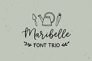 Maribelle | Font Duo & Dingbats, a Script Font by Point and Poem (Thumbnail 1 of 9)