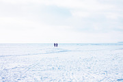 Winter Stock Photos Pack, a Nature Photo by NViolet (Thumbnail 2 of 5)