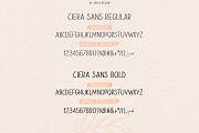 Ciera watercolor svg font & florals, a Script Font by Angele Kamp (Thumbnail 10 of 10)