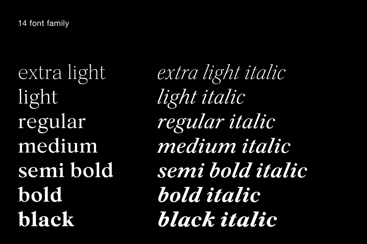 Silk Serif Text - 14 Font Family, a Serif Font by Silktype (Photo 4 of 14)