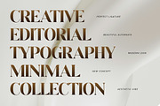 Decatlon Luxury Serif Font, a Serif Font by Wencory (Thumbnail 4 of 4)