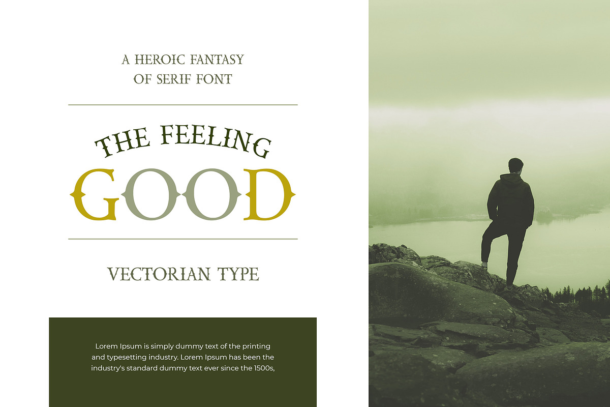 CAPORION Vectorian Serif Font preview 5