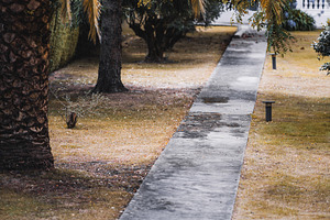 Autumn path in garden, a Holiday Photo by SkyNext