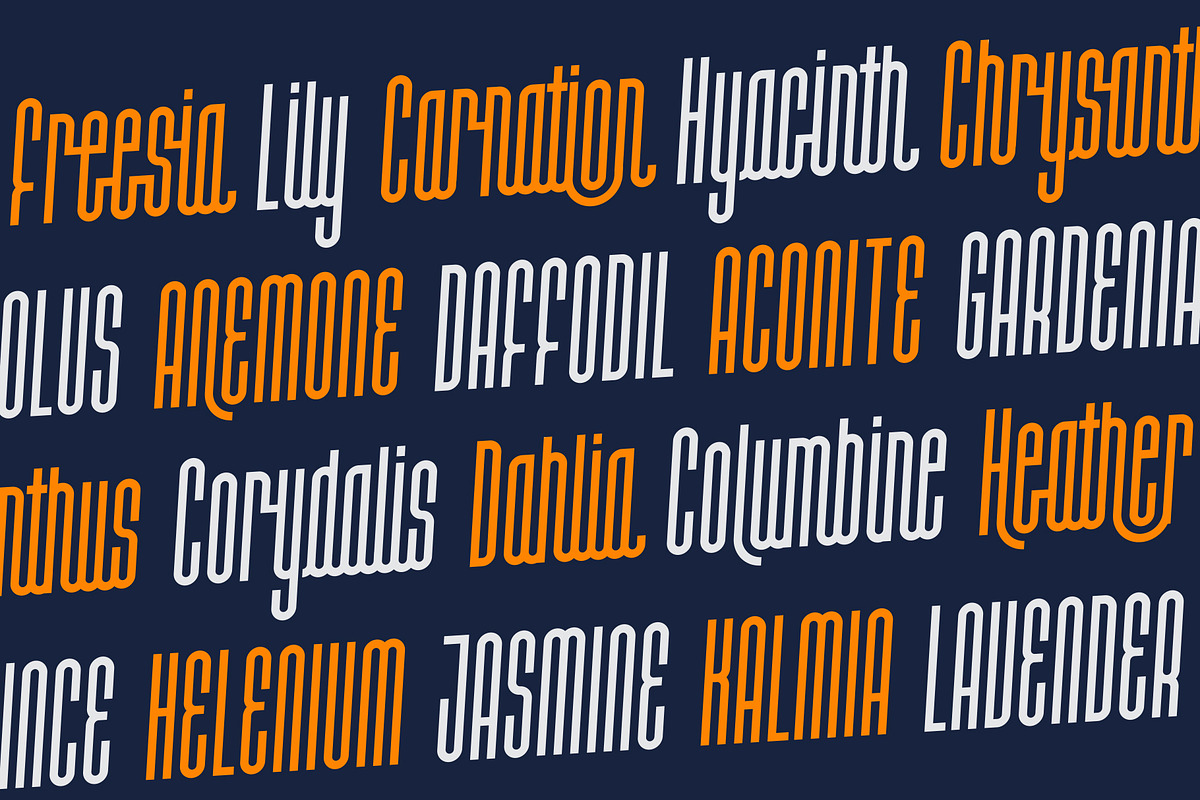Halokia, a Script Font by Locomotype (Photo 4 of 11)