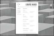 Professional Resume Template, a Resume Template by introDuice - CV / Resumes (Thumbnail 5 of 6)