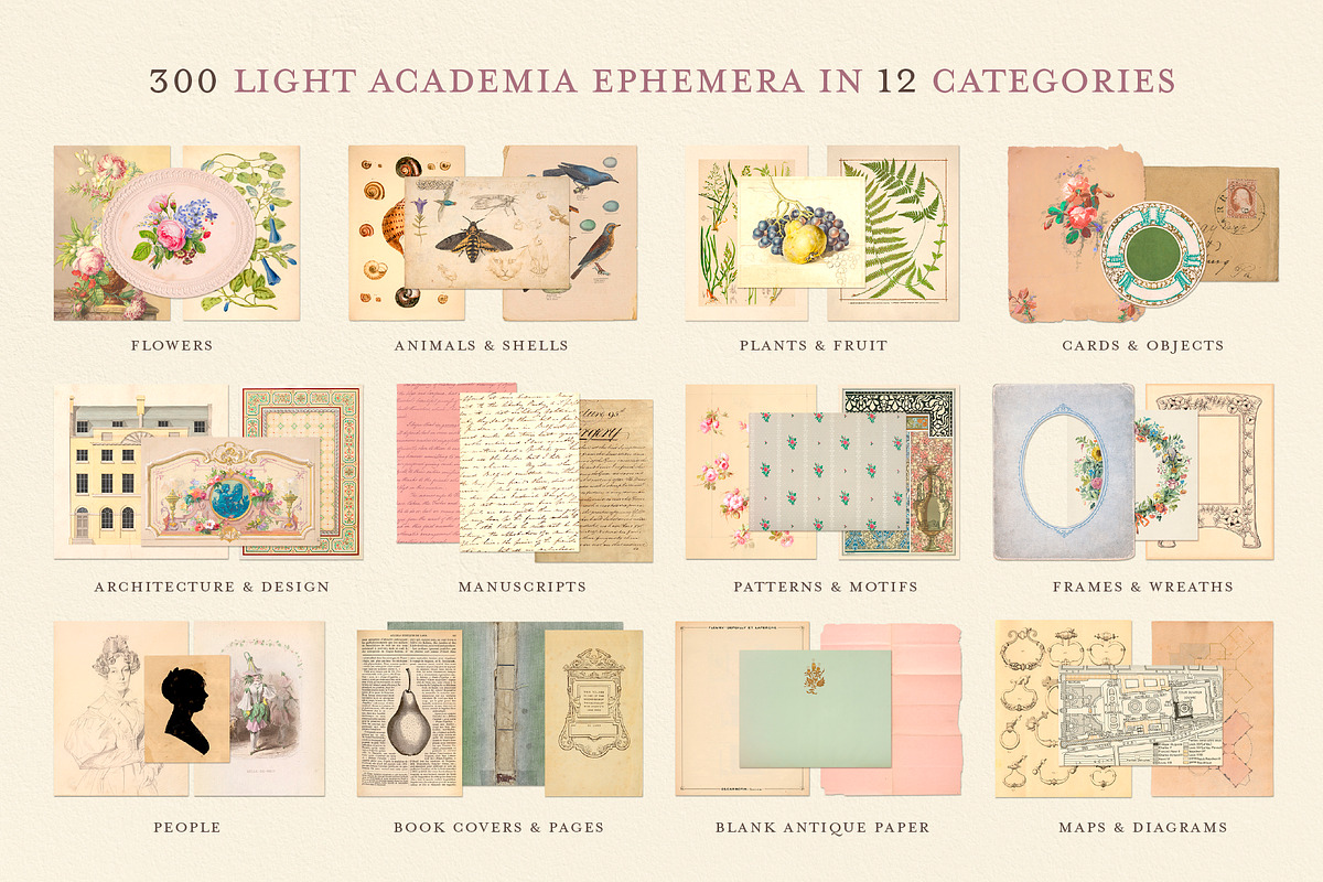 BUNDLE: 600 Academia Ephemera, an Object Graphic by The Object Atlas (Photo 6 of 16)