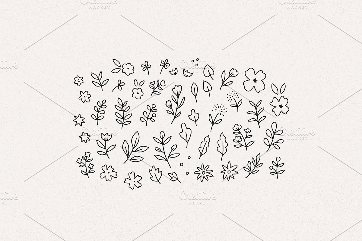 Hand Drawn Botanical Graphics, a Texture Illustration by Minna May Design (Photo 2 of 2)