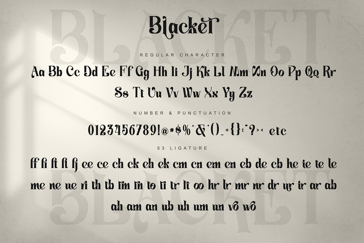 Blacket, a Serif Font by Letterara (Photo 6 of 8)