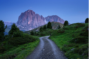 Gravel road winding through green, a Nature Photo by den-belitsky