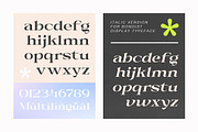 Bondist Display, a Serif Font by Fargun Studio (Thumbnail 17 of 24)
