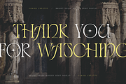 Bright Shade - Modern Serif Display, a Serif Font by Namara Creative Studio (Thumbnail 11 of 12)
