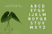 Green | Natural Cute Font, a Sans Serif Font by Graphicfresh (Thumbnail 4 of 7)