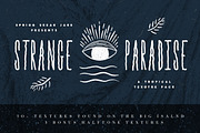 36 Vector Textures + 5 Bonus, a Texture Graphic by Spring Break Jake (Thumbnail 1 of 5)
