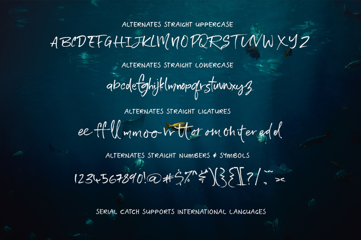 Serial Catch Font, a Script Font by Creativeqube Design (Photo 20 of 22)