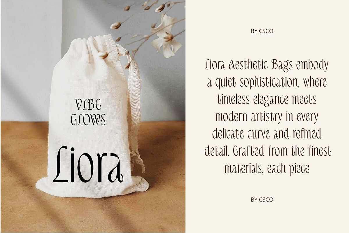 CS Delaney – Modern Font, a Sans Serif Font by Craft Supply Co. (Photo 3 of 8)