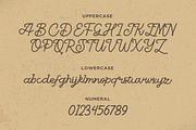 Big Tales - Monoline Script Typeface, a Font by Typefactoryco (Thumbnail 2 of 9)