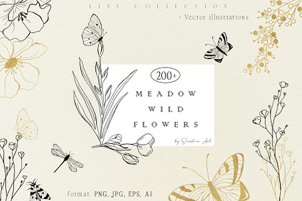 Meadow wild flowers - line Art