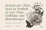 Gislen Elegant Serif Font, a Serif Font by Graphicxell (Thumbnail 6 of 8)