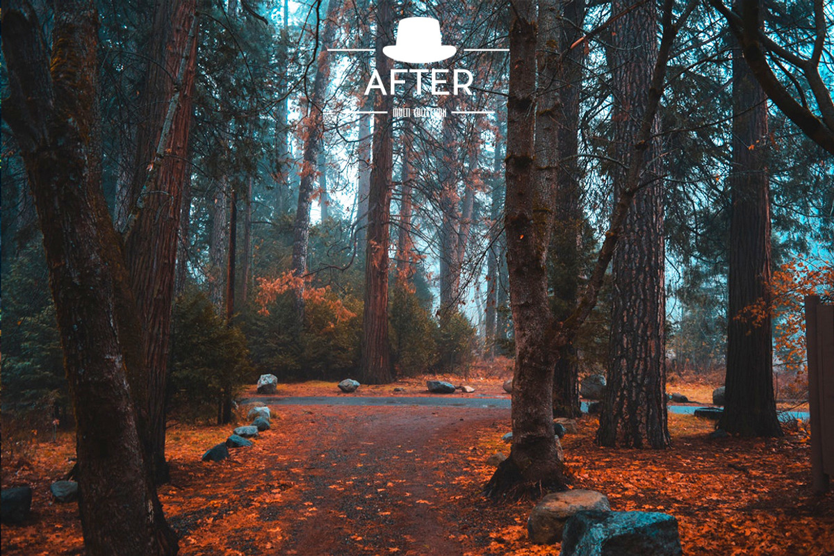 Moody Lightroom Presets preview 6