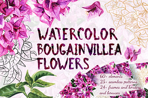 Watercolor Bougainvillea