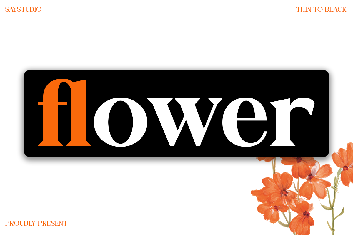 Galafera - Family Serif Typeface, a Serif Font by Say Studio (Photo 3 of 13)