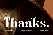 Arkity Qillgar Feminine Elegant Font, a Serif Font by Iqsiart Studio (Thumbnail 13 of 13)