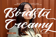 Birdsta Creamy Bold Calligraphy Font, a Script Font by stylishtype.co (Thumbnail 1 of 20)