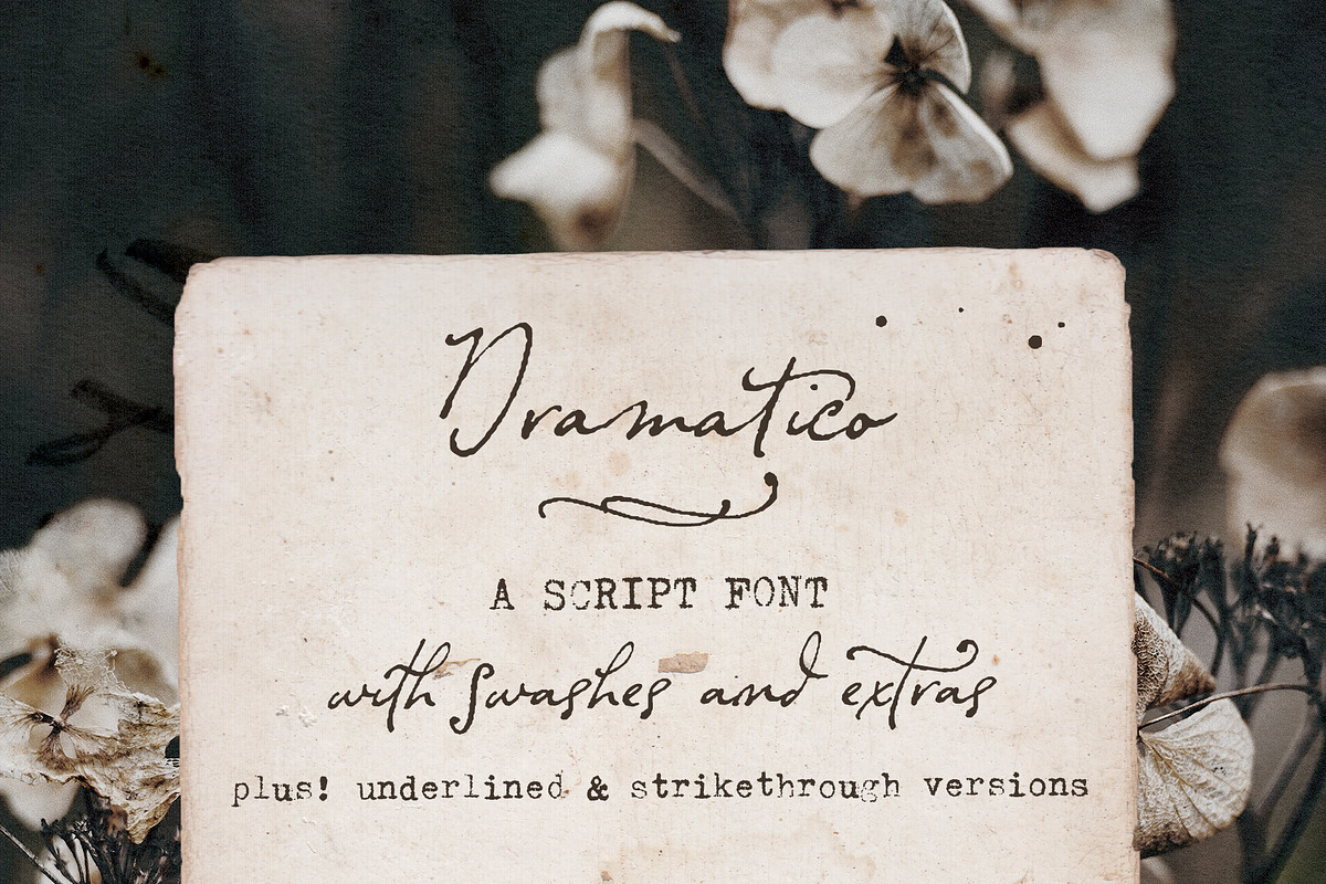 Typewriter and Script font pack, a Font by Ana's Fonts (Photo 13 of 19)