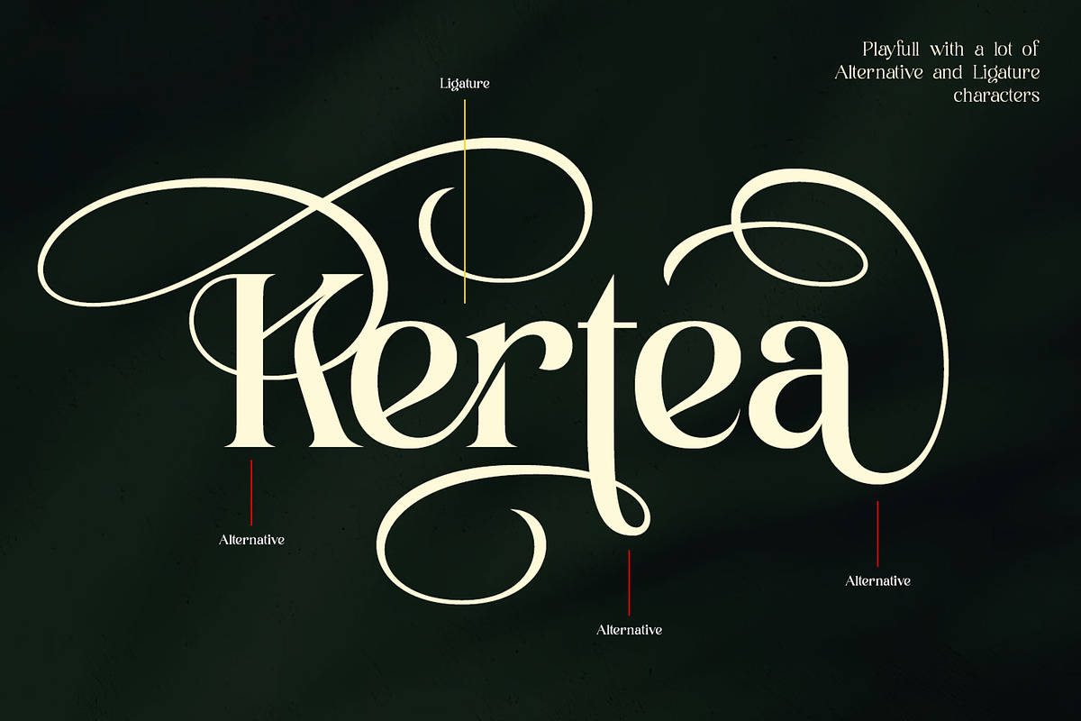 Ladya | Serif Display Font, a Serif Font by Ekahermawan (Photo 3 of 15)