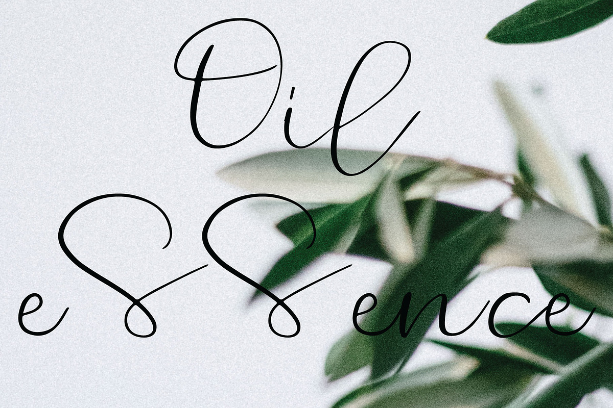 Cinnamon Font preview 3