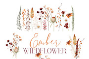 Watercolor Flower - EMBER WILDFLOWER, an Illustration by Beigetime (Thumbnail 5 of 14)
