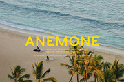 Coral&Reef - Vintage Sans Serif, a Sans Serif Font by Mikhail Kitsune (Thumbnail 3 of 8)