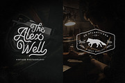 The Forest Factory + Bonus !, a Script Font by IronbirdCreative (Thumbnail 7 of 11)