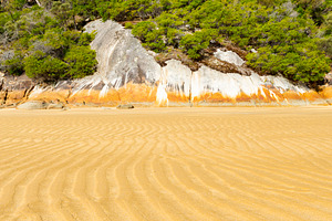 Seashore Landscape Background, a Nature Photo by THP Creative