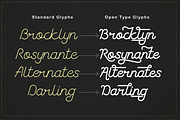 The Coventysh - Monoline Script Font, a Script Font by DiosiArt (Thumbnail 2 of 11)