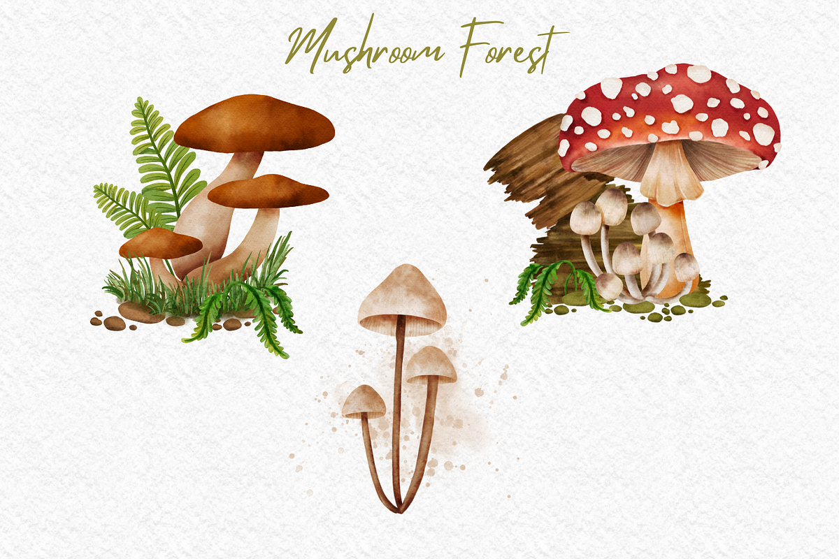 Mushroom Forest watercolor clipart, a Decorative Illustration by AkiraVilla (Photo 4 of 11)