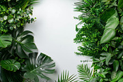99 Frames of green leaves, a Nature Photo by Handmadefont (Thumbnail 29 of 100)