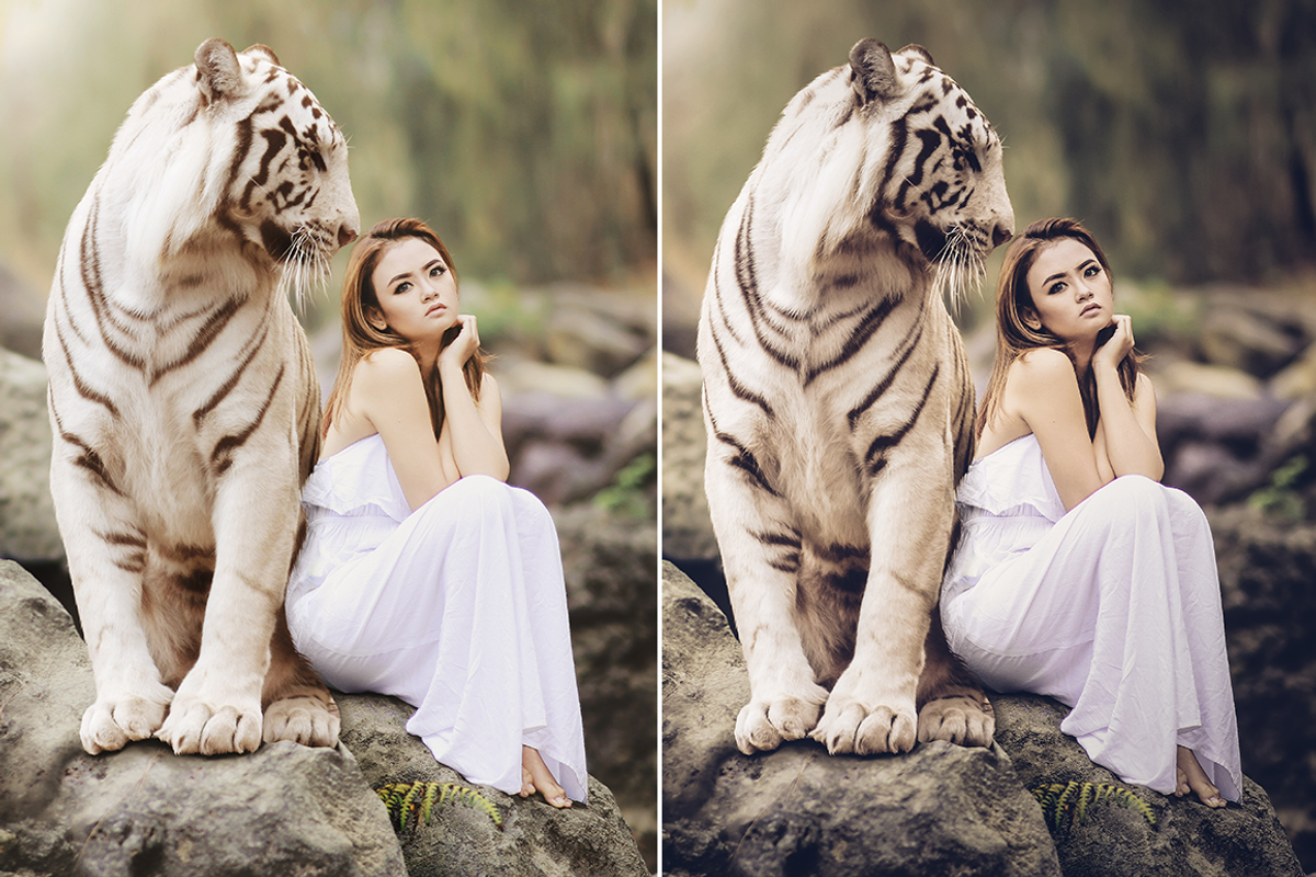 Cinematic - 500 Lightroom Presets, an Action Add-On by LUXDesignStudios (Photo 8 of 14)